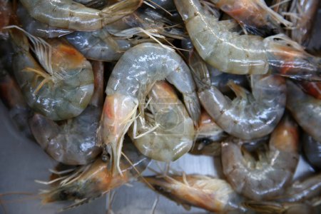 Photo for Shrimps. Whole Shrimps.  Raw Shrimps for sale in a Fish Market. - Royalty Free Image