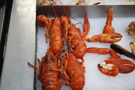 Téléchargez les photos : Close up of fresh lobsters on the market - en image libre de droit