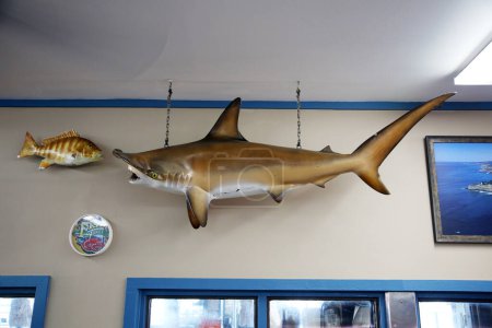 Téléchargez les photos : San Pedro, Californie - États-Unis - 21-2022 septembre : Taxidermie Poisson au mur dans un marché aux poissons de fruits de mer. Poisson farci sur l'affichage pour les clients à voir et à apprécier en attendant leur commande. - en image libre de droit