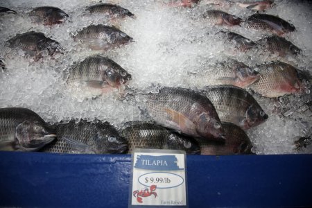 Foto de Fish.  fish on ice for sale at a Fish Market - Imagen libre de derechos
