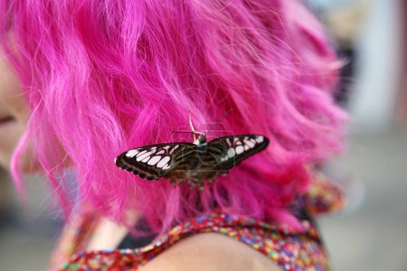 Foto de Hermosa mariposa de cerca - Imagen libre de derechos