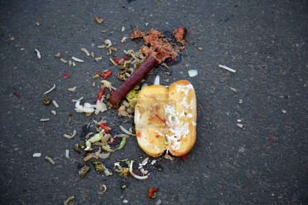 Foto de Hot dog fallen on th road - Imagen libre de derechos
