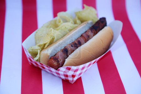 Téléchargez les photos : Hot dog with chips, close up - en image libre de droit
