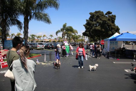 Foto de Huntington Beach, California - USA - 16 de abril de 2022. 5ª Feria Anual de Mascotas Cerca del 'Barking Lot' en 5 Points Plaza. mascotas adorables de grupos de rescate de buena reputación para su adopción. Diversión para toda la familia - Imagen libre de derechos