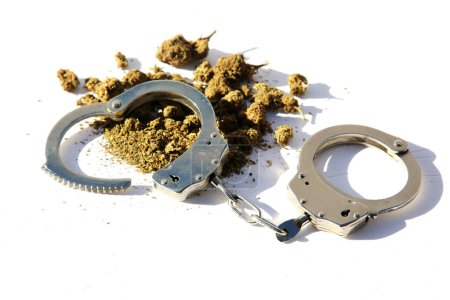 Photo for Marijuana. Cannabis. Marijuana and the Law.  Cannabis Use. Cannabis and Handcuffs. - Royalty Free Image
