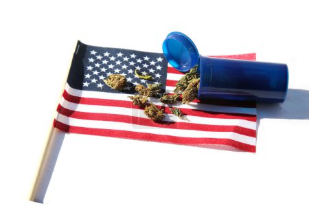 Téléchargez les photos : Marijuana  Buds on  USA flag isolated on white.  Medical Marijuana - en image libre de droit