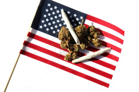 Photo for Cannabis. Legal Marijuana. Marijuana Buds with an American Flag. Female Marijuana Flowers. American Medical Marijuana. Recreational Cannabis. Cannabis flowers and rolled joints over the American Flag. - Royalty Free Image