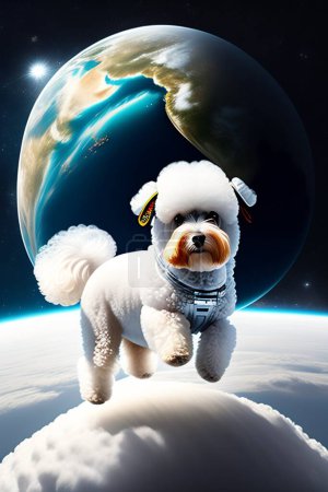Photo for Space Dog. Bichon Frise Astronaut Dog in Outer Space. Dog goes into space in search of adventure. Bichon Frise Dog in Outer Space. A Space Bichon Frise Astronaut explores the Outer Limits of the Solar System. Space Dogs are Cool. - Royalty Free Image