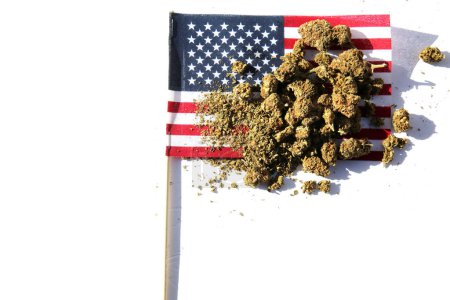 Photo for Cannabis. Legal Marijuana. Marijuana Buds with an American Flag. Female Marijuana Flowers. American Medical Marijuana. Recreational Cannabis. Cannabis flowers with the American Flag. - Royalty Free Image