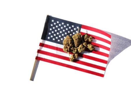 Téléchargez les photos : Du cannabis. Marijuana légale. Des bourgeons de marijuana avec un drapeau américain. Fleurs de marijuana femelles. American Medical Marijuana. Cannabis récréatif. Fleurs de cannabis avec le drapeau américain. - en image libre de droit