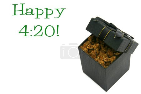 Photo for Marijuana. Cannabis. A Gift Box filled with Cannabis Sativa. Black Gift Box with Cannabis Indica. Birthday Gift of Pot. Dried Cannabis Flowers in a black gift box. Isolated on white. Room for text. - Royalty Free Image