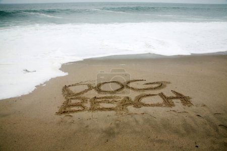 Téléchargez les photos : Dog Beach écrit en sable de plage avec l'océan comme arrière-plan. - en image libre de droit