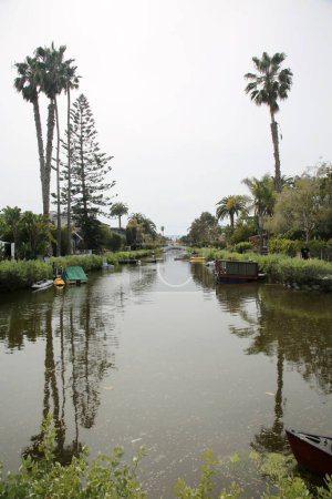 Photo for Venice California - 3-18-2023. Venice Canal Historic District. Embedded in the residential Venice suburb of Los Angeles, California. Man-made wetland canals, built in 1905 give Venice a Unique History - Royalty Free Image