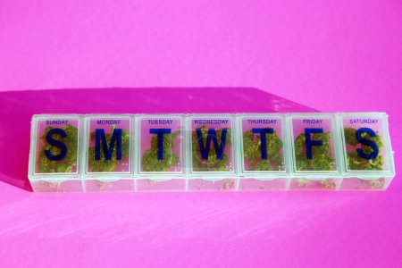 Téléchargez les photos : Medical Cannabis Prescription. Marijuana in daily medication pill case. Medical marijuana buds in daily pill organizer. Marijuana is officially used to stop side effects. Medical marijuana therapy. - en image libre de droit