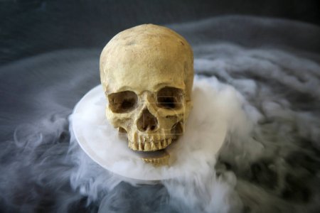 Photo for Human skull. Spooky Human Skull in Smoke. Evil Human Skull. Halloween. Scary Skull. Grim reaper. - Royalty Free Image