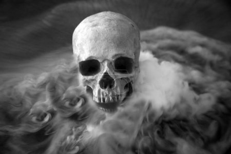 Foto de Calavera humana. Cráneo humano espeluznante en humo. Cráneo humano malvado. Halloween. Scary Skull. Parca.. - Imagen libre de derechos