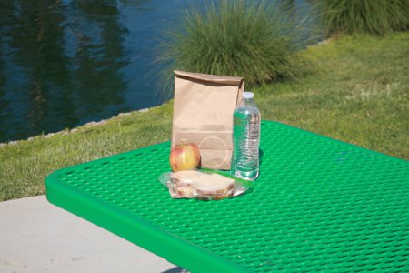 Foto de Hora del almuerzo en el lago con sándwich, botella de agua y una manzana - Imagen libre de derechos
