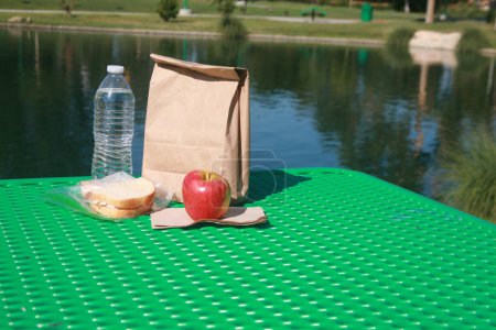 Foto de Hora del almuerzo en el lago con sándwich, botella de agua y una manzana - Imagen libre de derechos