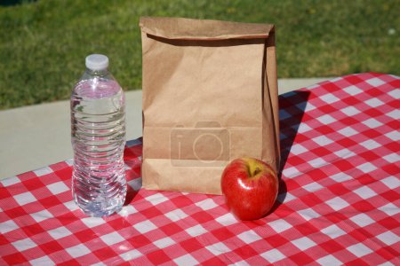 Photo for Lunch time at the lake with sandwich, water bottle and an apple - Royalty Free Image