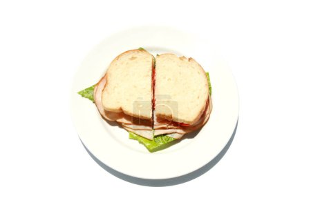 Photo for Homemade sandwich with smoked turkey, lettuce, tomato and cheese on white plate isolated - Royalty Free Image