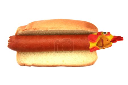 Foto de Comida rápida americana. salchicha de perro caliente con mascarilla de pollo de gallina - Imagen libre de derechos