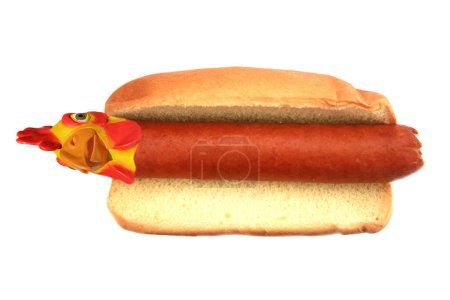 Foto de Comida rápida americana. salchicha de perro caliente con mascarilla de pollo de gallina - Imagen libre de derechos