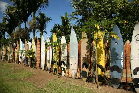 Foto de Maui, Hawaii - USA - 21 de febrero de 2010: Tablas de surf y valla para tablas de paddle en Maui, Hawaii. El camino a Hana. Maui, Hawai. Valla de tabla de surf. Una cerca colorida hecha de viejas tablas de surf. Editorial. - Imagen libre de derechos