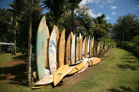 Photo for Maui, Hawaii - USA - February 21, 2010: Surf boards and paddle board fence in Maui, Hawaii. The road to Hana. Maui, Hawaii. Surfboard Fence. A colorful fence made of old surfboards. Editorial. - Royalty Free Image