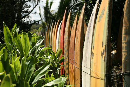 Foto de Maui, Hawaii - USA - 21 de febrero de 2010: Tablas de surf y valla para tablas de paddle en Maui, Hawaii. El camino a Hana. Maui, Hawai. Valla de tabla de surf. Una cerca colorida hecha de viejas tablas de surf. Editorial. - Imagen libre de derechos