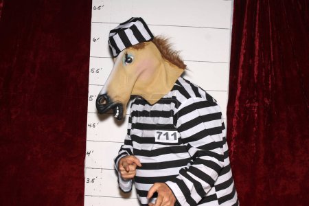 Téléchargez les photos : Un cheval porte un uniforme rayé en prison devant un tableau Mugshot de la police aka photo de réservation. - en image libre de droit