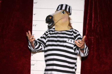 Téléchargez les photos : Un cheval porte un uniforme rayé en prison devant un tableau Mugshot de la police aka photo de réservation. - en image libre de droit