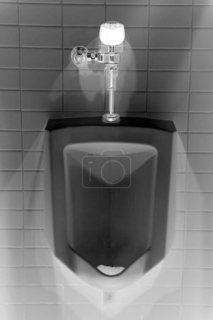 Photo for Urinal. Toilet. Restroom. Public Restroom. Urinals in a Public Bathroom. Bathroom facility. Public Toilets. Modern white urinal in the toilet. Men's toilet concept. Men's bathroom. White porcelain. - Royalty Free Image