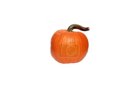 Photo for Pumpkin. Thanksgiving Pumpkin. Pumpkin isolated on white. Halloween Pumpkin. Gourd isolated on white. Clipping Path. Room for text. Fall decoration. Holiday Fun. Thanksgiving and Halloween fun. - Royalty Free Image