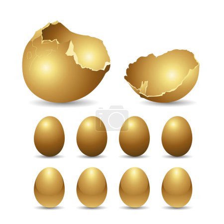 Photo for Golden Eggs on a White Background - Royalty Free Image