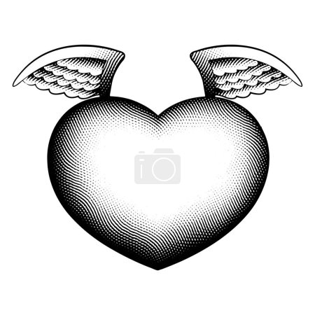 Téléchargez les photos : Illustration du Coeur d'Ange Gravé Scratchboard isolé sur fond blanc - en image libre de droit