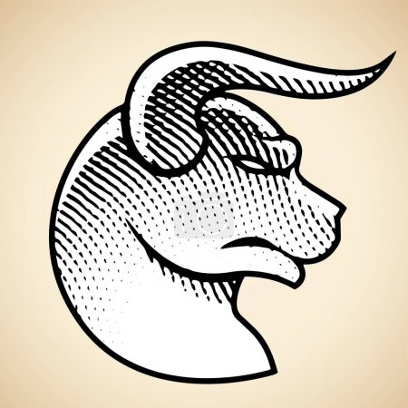 Téléchargez les photos : Illustration de la vue de profil de taureau gravé Scratchboard avec remplissage blanc isolé sur un fond beige - en image libre de droit