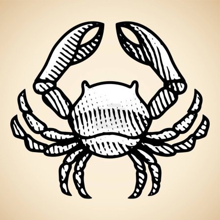 Photo for Illustration of Scratchboard Engraved Crab with White Fill isolated on a Beige Background - Royalty Free Image