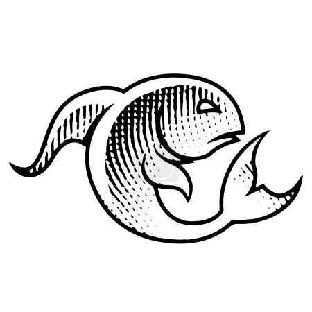 Téléchargez les photos : Illustration de poissons gravés sur planche à gratter isolés sur un fond blanc - en image libre de droit