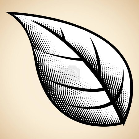 Téléchargez les photos : Illustration de Grille Gravée Big Leaf isolée sur fond beige - en image libre de droit
