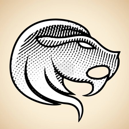 Téléchargez les photos : Illustration du Lion gravé Scratchboard avec remplissage blanc isolé sur un fond beige - en image libre de droit