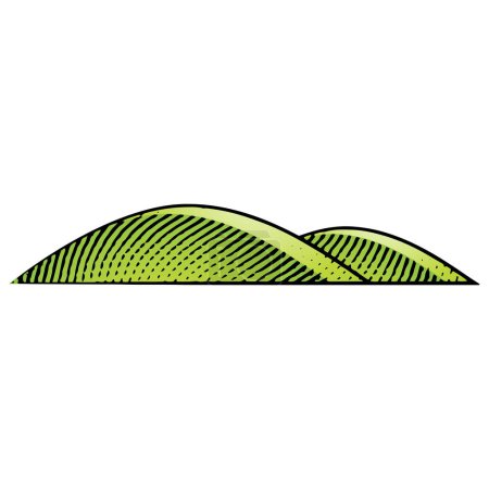 Téléchargez les photos : Scratchboard Gravure de collines avec remplissage vert isolé sur un fond blanc - en image libre de droit