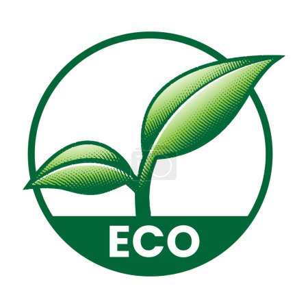 Photo for Eco Friendly Engraved Round Icon with 2 Green Leaves on a White Background - Royalty Free Image