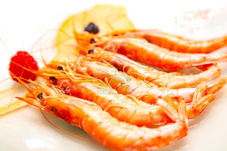 Photo for Fresh food. Seafood and fish from the sea.Grilled prawns on a white plate. - Royalty Free Image