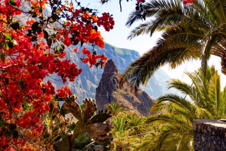 Foto de Paisaje panorámico de montaña.Cactus, vegetación y puesta de sol en Tenerife. Valles de Masca.Islas Canarias, Tenerife, España. - Imagen libre de derechos