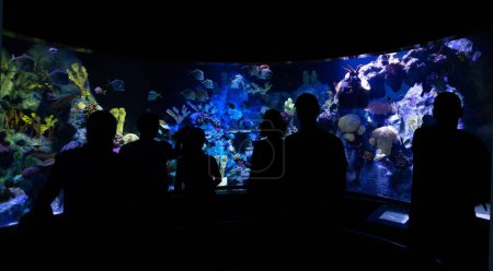 Photo for Family silhouettes looking at aquarium fish.Entertainment and leisure at the aquarium. - Royalty Free Image