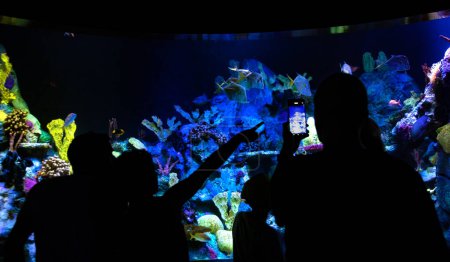 Téléchargez les photos : Silhouettes familiales regardant des poissons d'aquarium.Divertissement et loisirs à l'aquarium. - en image libre de droit