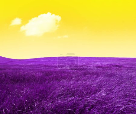 Téléchargez les photos : Paysage idyllique et fantastique de champs et de prairies en couleur violette. prairie panoramique et nuage dans le ciel. - en image libre de droit