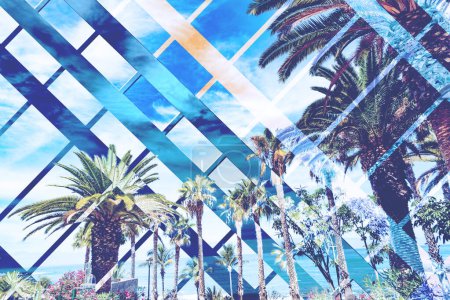 Photo for Sunset  sky and palm trees view,vintage style,summer panoramic background.Abstract summer and vacation design. - Royalty Free Image