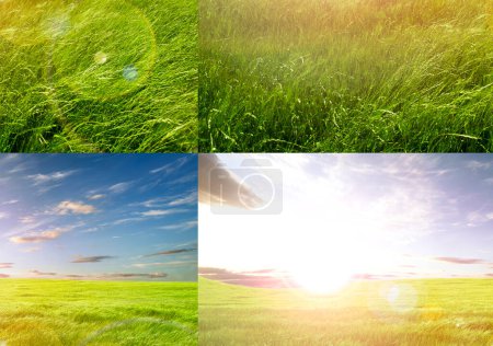 Green grass and sunrise sky scenery background.Sunlights,season concept and countryside.Sunset fields and sunbeam collage or  design.Wind in the meadow ,nature background.