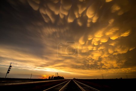 Téléchargez les photos : Nuages de mammifères au-dessus du ciel au coucher du soleil avec une paire de voies ferrées au premier plan - en image libre de droit